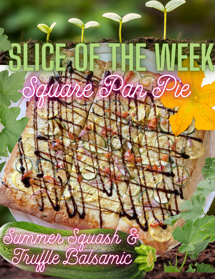 Squash Square Pan Pie